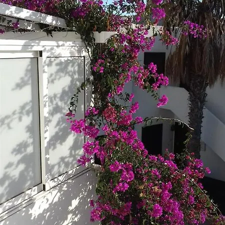 Apartamento Casa Del Sol Puerto del Carmen (Lanzarote)